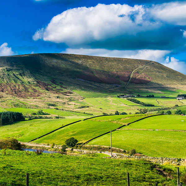 an image of a field in Lancashire covered in shrubbery next to a mountainside