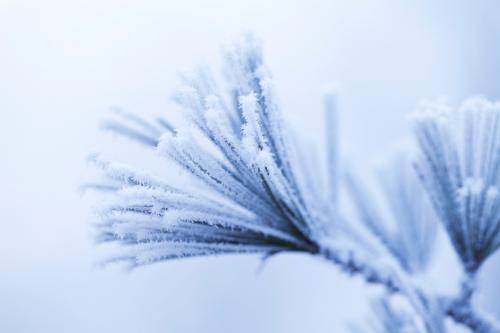 Newsletter Winter 2022